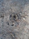 20201017_101905.jpg