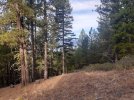 20201017_094124.jpg