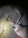 IMG_2335.jpg