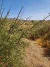 20201017_133517.jpg