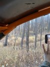 IMG_2323.jpg