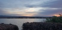 20201024_065431.jpg