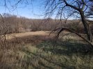 20201101_131152.jpg
