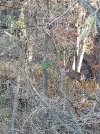 20201101_161005.jpg