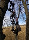20201101_135329.jpg