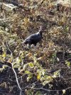 20201102_102643.jpg