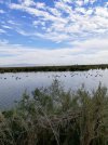 20201101_090057.jpg