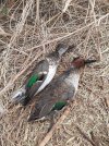 20201101_083120.jpg