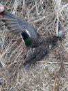 20201101_070606.jpg