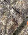 20201105_102519.jpg