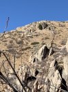 IMG_3569.jpeg