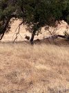 0B7AB6ED-7218-4C45-B5FF-845A905D40D2.jpeg