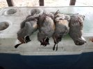 IMG_20201108_101454.jpg