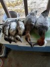 IMG_20201107_162334.jpg