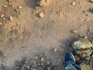 tracks.jpg
