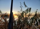20201111_063316.jpg