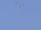 D055B6F6-3ADC-4CCE-B137-9890D8855F62.jpeg