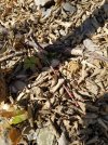 20201113_102621.jpg