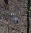 20201111_183111.jpg