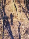 20201111_072736.jpg
