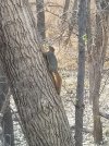 20201108_152146.jpg