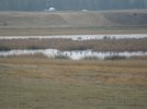 washington elk hunt lllll 2011 013.JPG