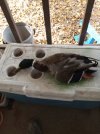 IMG_20201120_120354.jpg