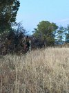 IMG_3760.jpg
