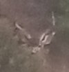 20200621_235022.jpg