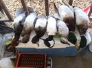 IMG_20201128_162034.jpg