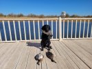 20201128_105322.jpg
