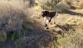20201129_085811.jpg