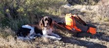 20201129_084557.jpg