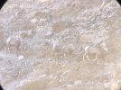 891C0925-5656-409A-9B3D-BD8C071B1108.jpeg