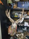 20201202_181344.jpg