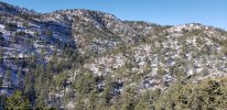 20201128_090809.jpg