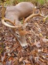 20201205_121339.jpg