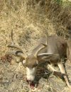 20201207_103737.jpg