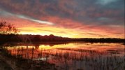 Sunset12-7-20.jpg