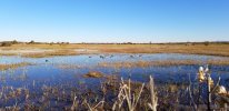 20201204_074208.jpg