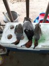 IMG_20201212_085610.jpg