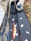 20201213_161345.jpg