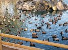 20201217_160431.jpg