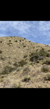 1655B432-1901-44E1-9AE8-909263D63E04.png