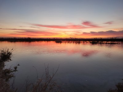 20210102_170204.jpg