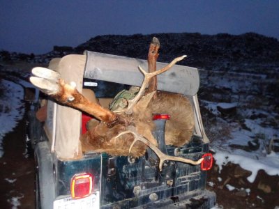 elk stuffed.jpeg