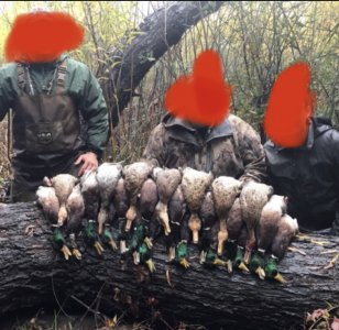 D0E64240-5293-468D-82E5-47620F18D5B3.jpeg