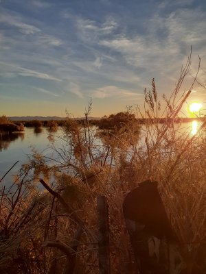 20210110_070403.jpg