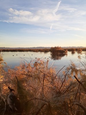 20210110_070359.jpg