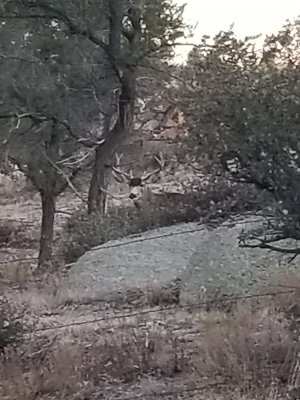 20210110_074847.jpg